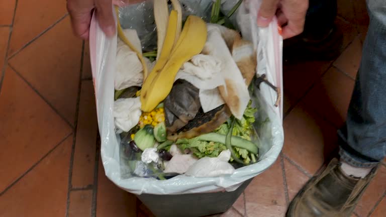 Best Commercial Junk Removal  in Falcon Heights, MN